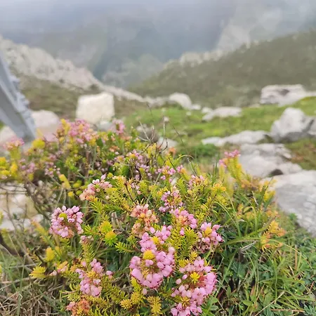 Casa Gina, Espectacular En Plena Naturaleza! Apartamento Corras de la Puente