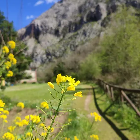 Casa Gina, Espectacular En Plena Naturaleza! * Corras de la Puente