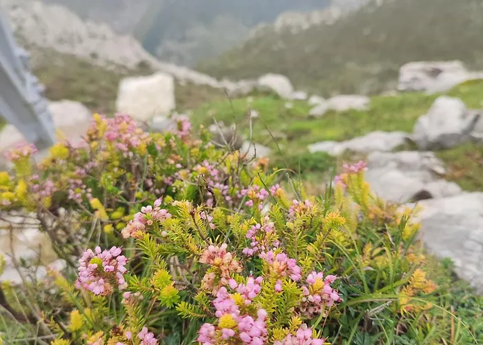 Casa Gina, Espectacular En Plena Naturaleza! Apartamento Corras de la Puente