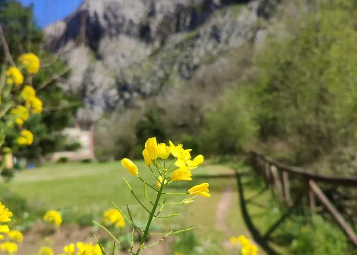 Casa Gina, Espectacular En Plena Naturaleza! * Corras de la Puente